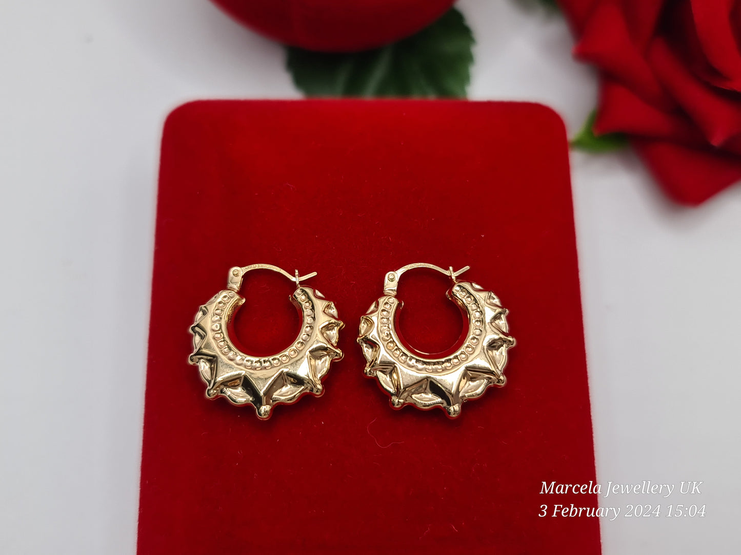 Brand New 9 Carat gold Creole earrings small